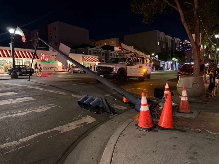 ‘Years of dog pee’ blamed for fallen street light in Little Italy
