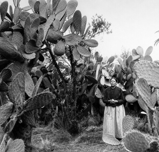 HISTORIC PLACES WITH ELSA SEVILLA: CALIFORNIA'S HISTORY: Women Who Built San Diego
